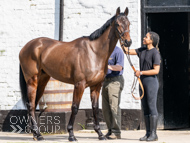 NH220326-7 - Thewoodcorner